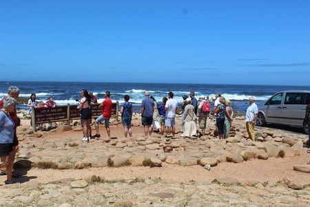 Private Tour from Cape Town To Cape of Good Hope Penguins Plus Wine Tasting F/D 