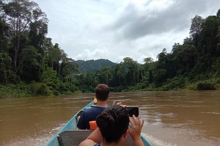 Taman Negara National Park Day Tour (SIC - Join In Tour)