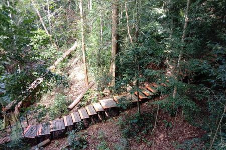 Taman Negara National Park Day Tour (SIC - Join In Tour)