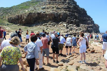 Small Group Private Tour To Cape Point Penguins From Cape Town Excl Entry Fees