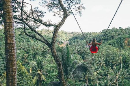 Best of Ubud: Private All-Inclusive Tour with Jungle Swing