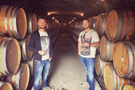 Waiheke Island Premium Wine Tour with Tastings