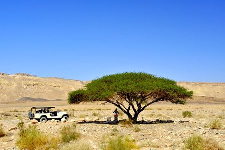 Desert Safari and Dead Sea Day Trip from Tel Aviv