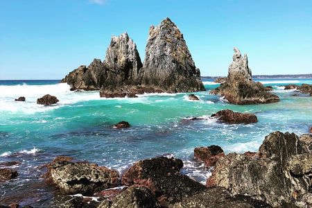 South Coast Nature Tour