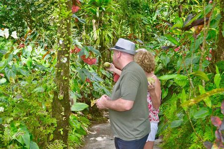 Montreal Garden , Belmont look out and Rawacou Recreation park from IV TOURS