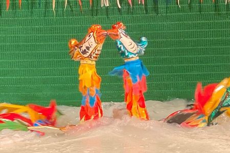 3-hour Dinner cruise on Saigon river plus Cyclo & Water puppet show evening
