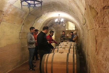 Private Wine Tasting in San Vicente de la Sonsierra