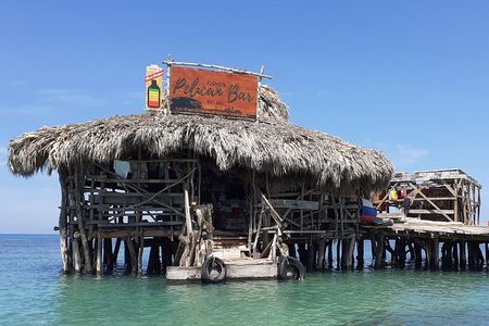 Pelican Bar and Black River Hi light Tour