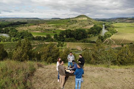 Private Vineyards Tour in San Vicente de la Sonsierra