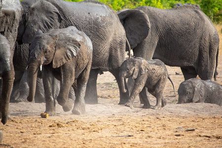 Kruger National Park Best Tour