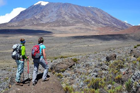 Mt. Kilimanjaro Day Trip Trek on Marangu Route