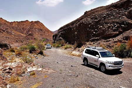 Private 4x4 Desert Drive, Wadi Shawaka Pool Visit with Lunch box