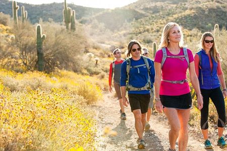 Sonoran Desert Hiking Tour