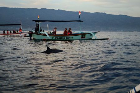 Lovina Dolphin Watching, Snorkeling and Waterfall Tour in Bali