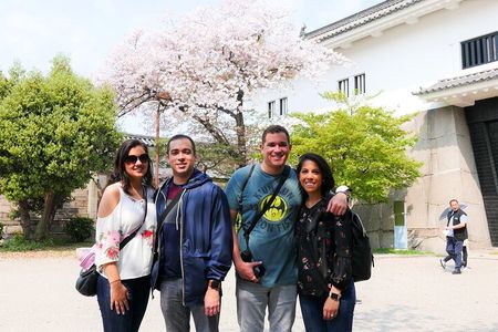 Osaka Castle and Sumiyoshi Taisha Shrine Private Half-Day Tour