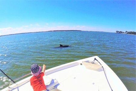 Private Hilton Head Dolphin Tour with Waterfront Dining Stop 