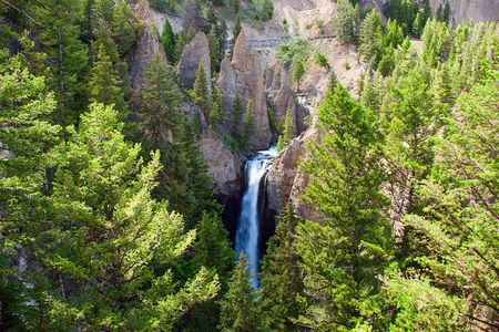 Full Day Private Tour and Hike from West Yellowstone