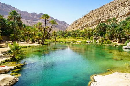 Wahiba Sands and Wadi Bani Khalid Day Tour