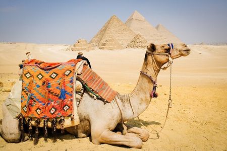 Cairo: 3 Private Full-Day Tours to Cairo Top Attractions+One Airport Transfer