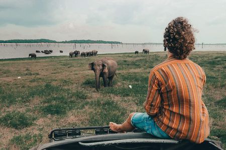 Colombo to Trincomalee Shuttle & Safari Drive