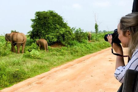 Mirissa to Ella Shuttle & Safari Drive (Breakfast included)