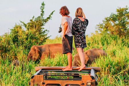 Ella to Mirissa Shuttle & Udawalawe Safari Drive with Breakfast