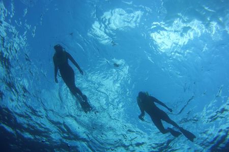 Private Snorkel to Key Largo Reef for up to 12 - INCLUDES GEAR!