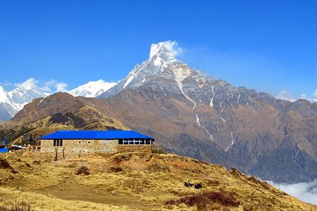 Mardi Himal Trek (4500 meters)