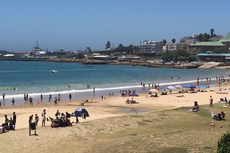Mosselbay Day tour