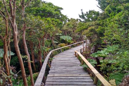 Chiloe National Park and Chonchi "Darwin Route"