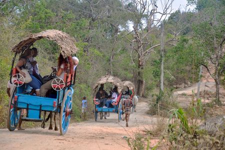 Sigiriya Rock and Village Tour from Habarana