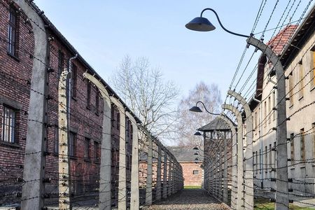 Auschwitz-Birkenau Tour Guide and Jewish museum and synagogue