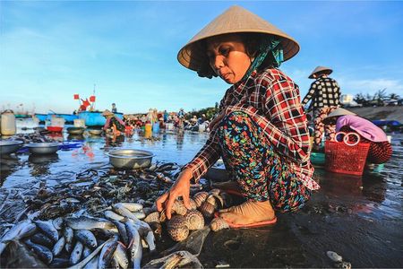 Mui Ne 'Red Sand' & Cham Local Culture Experience 2D/1N