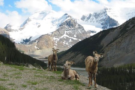 Private Tour: Majestic Mountains PHOTO SAFARI Drive - 4H 