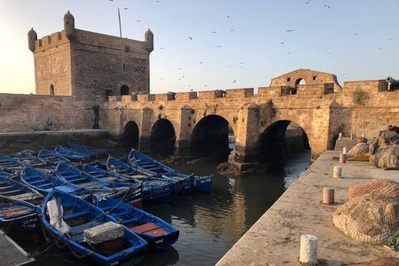 Marrakech Day Trip to Essaouira - Horseback, Camel Ride, ATV on the Beach