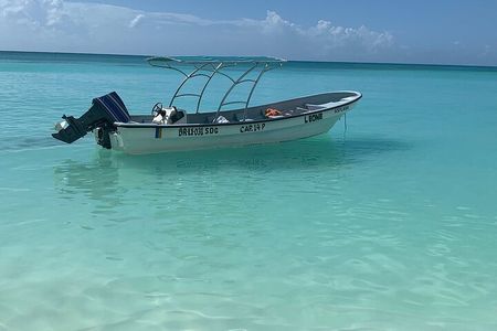 Private Boat Nature Tour of Saona Island