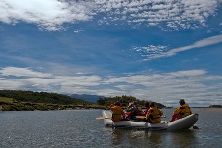 Private Full-Day Gable Island Eco-Adventure in the Beagle Channel