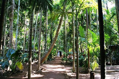 Highlights of South Goa with Spice Plantation Tour (Guided Fullday Tour by Car)