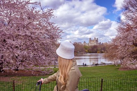 Best of Central Park Bike Tour