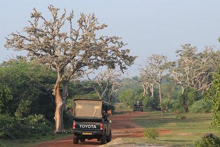 Bundala National Park Private Safari