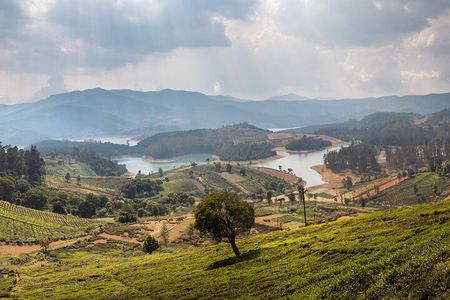 Day Trip to Coonoor (Guided Sightseeing Tour by Car from Ooty)
