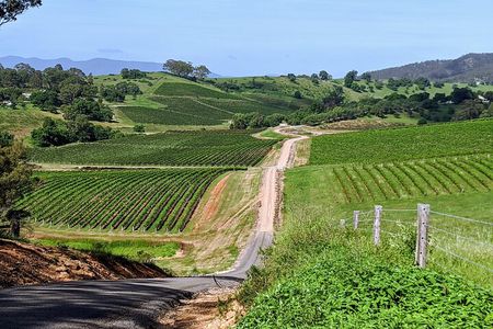 Hunter Valley wine and cheese starting from the Hunter region