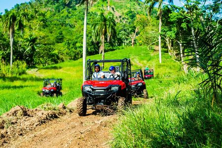 Jungle Buggies + Ziplines Adventures