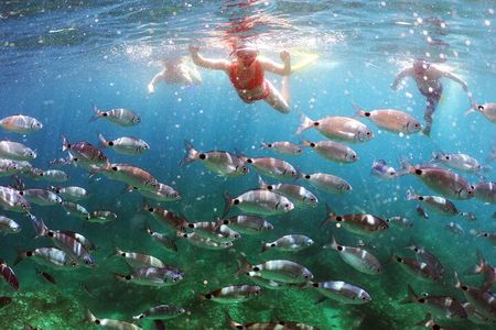 SNORKELING ADVENTURE | Pula Boat