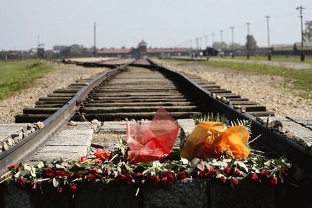 Auschwitz-Birkenau and Salt Mine Tour with private transport from Krakow