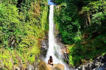 Private guided puncak day tour;Solo;Small Group