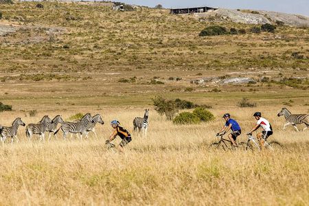 Safari Cycle and !Khwa ttu San Heritage Experience 