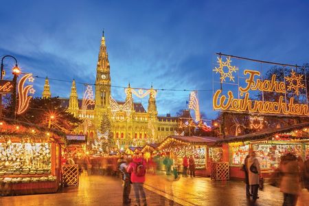 Full Day Private Vienna Christmas Market tour from Budapest with lunch