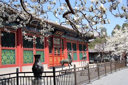 Private Walking Day Tour: Summer Palace, Heaven Temple & Hutong