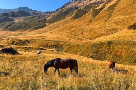 From Tbilisi: Kazbegi Ananuri Gudauri and Trusso Valley by 4x4